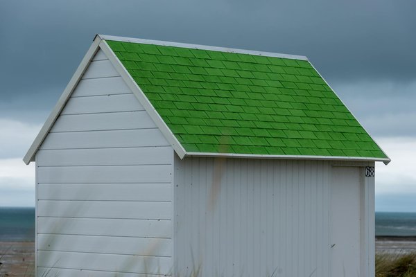 Expériences de voyageurs : Témoignages de croisières écoresponsables