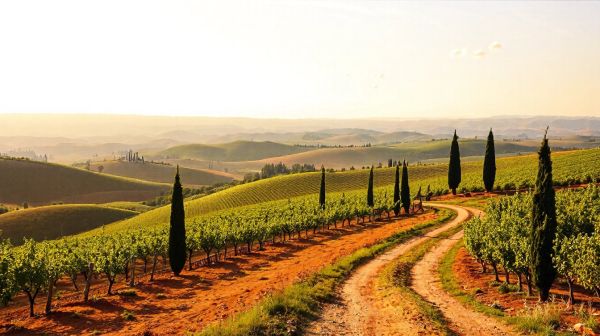 Découverte des joyaux méconnus de la province d'Arezzo
